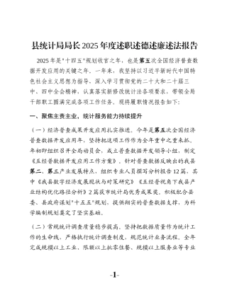 县统计局局长2025年度述职述德述廉述法报告