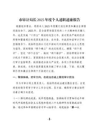 市审计局长2025年度个人述职述廉报告