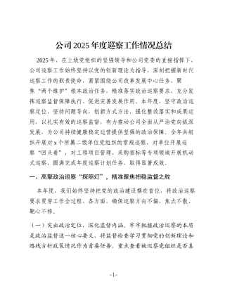 公司2025年度开展巡察工作情况总结4700字
