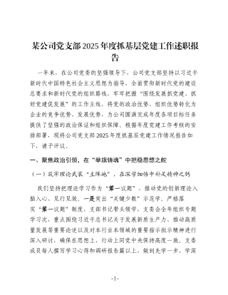 公司党支部2025年抓基层党建工作述职报告（党建总结）