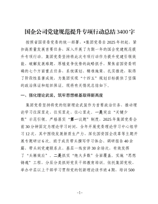 国企公司党建规范提升专项行动总结3400字