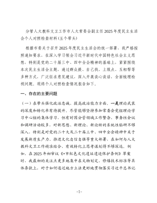 分管人大教科文卫工作市人大常委会副主任2025年度民主生活会个人对照检查材料(五个带头)