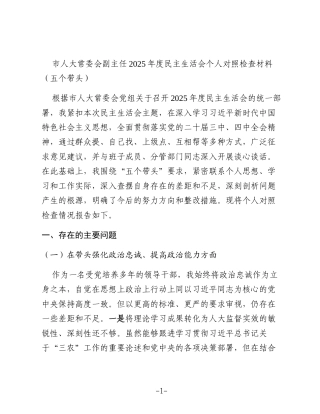 市人大常委会副主任2025年度民主生活会个人对照检查材料（五个带头）