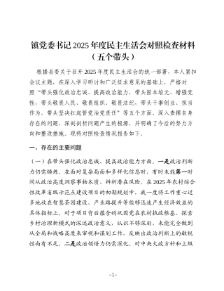 镇党委书记2025年度民主生活会对照检查材料（五个带头）