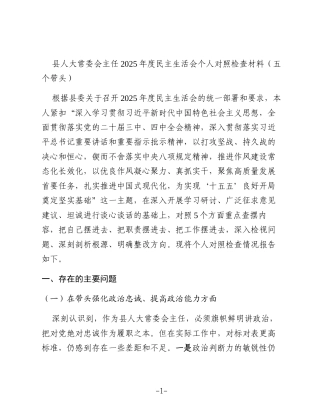 县人大常委会主任2025年度民主生活会个人对照检查材料（五个带头）
