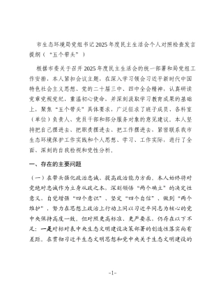 市生态环境局党组书记2025年度民主生活会个人对照检查发言提纲（“五个带头”）