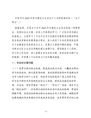 市委书记2025年度专题民主生活会个人对照检查材料（“五个带头”）