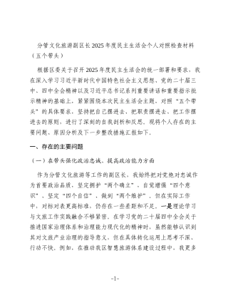 分管文化旅游副区长2025年度民主生活会个人对照检查材料（五个带头）