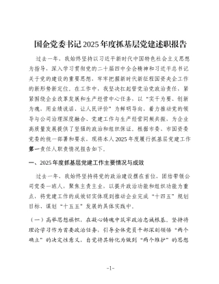 国企党委书记2025年度抓基层党建述职报告