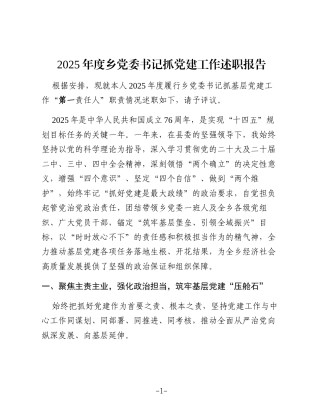 2025年度乡党委书记抓党建工作述职报告