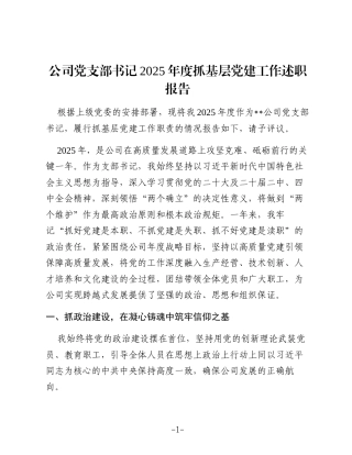 公司党支部书记2025年度抓基层党建工作述职报告