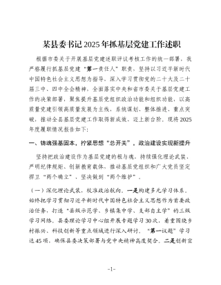 某县委书记2025年抓基层党建工作述职