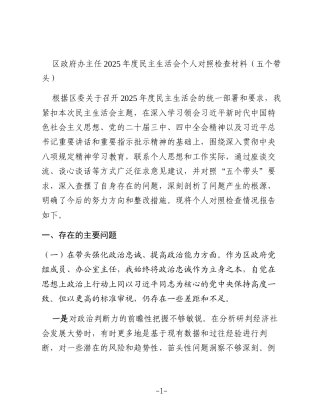 区政府办主任2025年度民主生活会个人对照检查材料（五个带头）
