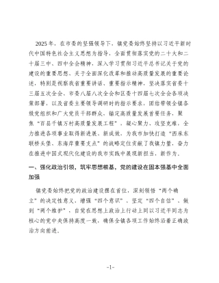 乡镇党委2025年度述职述廉述党建工作总结