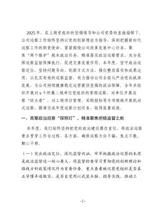 公司2025年度巡察工作情况总结2