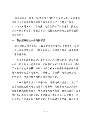 XX县民政局党组关于县委第二巡察组反馈巡察养老服务领域问题整改进展情况的报告