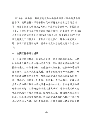 XX镇2025年法治政府建设工作总结