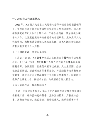 XX镇人大2025年工作总结