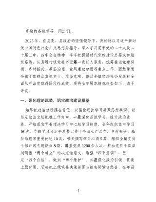 镇党委书记2025年度述职报告