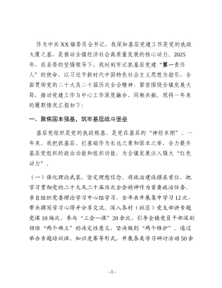 镇委员会2025年度党委书记抓基层党建工作述职报告