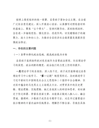 领导班子2025年度民主生活会对照检查材料（5个带头）