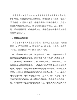 市财政局党组领导班子2025年度民主生活会对照检查材料