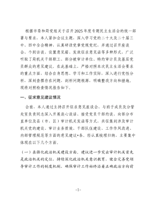 市审计局党组书记2025年度民主生活会个人发言提纲（“五个带头”）