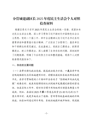 分管城建副区长2025年度民主生活会个人对照检查5700字