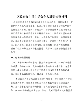 区政府办主任2025年度民主生活会个人对照检查材料