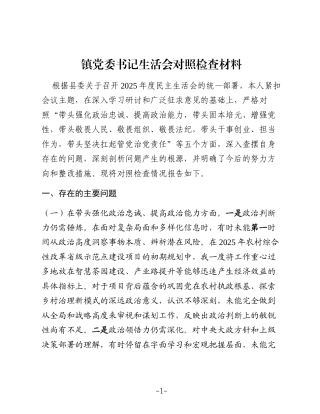 乡镇书记2025年度民主生活会对照检查5100字