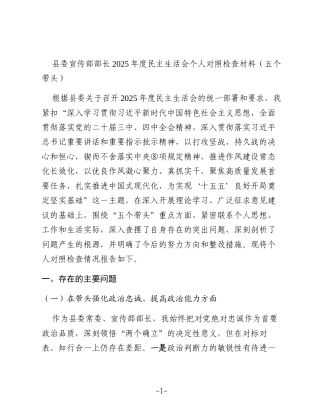 县委宣传部部长2025年度民主生活会个人对照检查材料