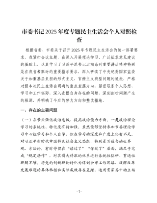 市委书记2025年度专题民主生活会个人对照检查