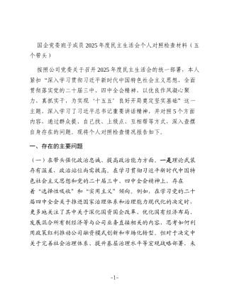 国企党委班子成员2025年度民主生活会个人对照检查材料