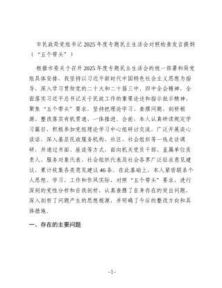 市民政局党组书记2025年度专题民主生活会对照检查