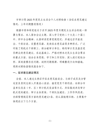 市审计局2025年度民主生活会个人对照检查（含征求意见建议情况、上年问题整改情况）