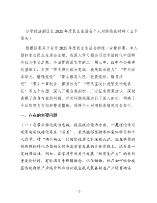 分管经济副区长2025年度民主生活会个人对照检查材料