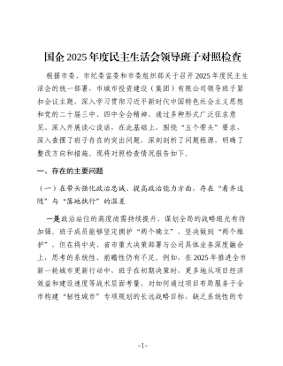 国企公司2025年度民主生活会领导班子对照检查6400字