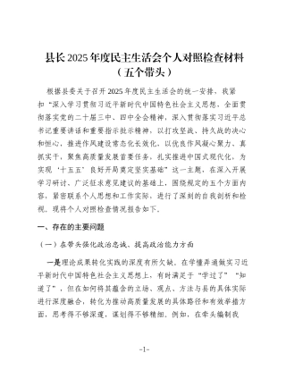 县长2025年度民主生活会个人对照检查材料
