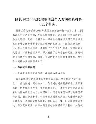 区长2025年度民主生活会个人对照检查材料