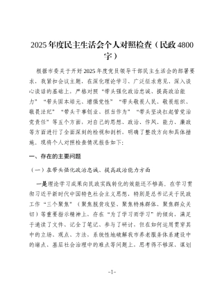 2025年度民主生活会个人对照检查（民政4800字）