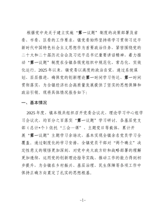 镇关于2025年度“第一议题”制度落实情况的报告
