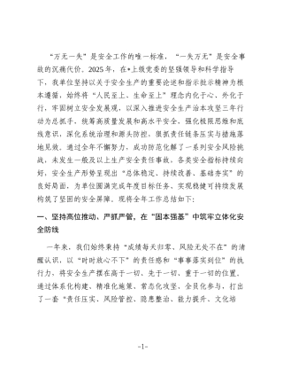 2025年度安全生产工作总结