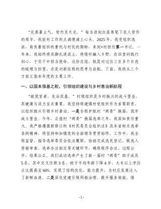 2025年度驻村第一书记工作总结