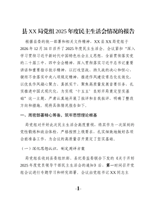 县XX局党组2025年度民主生活会情况的报告