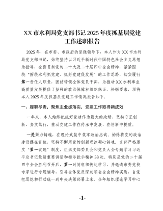 XX市水利局党支部书记2025年度抓基层党建工作述职报告