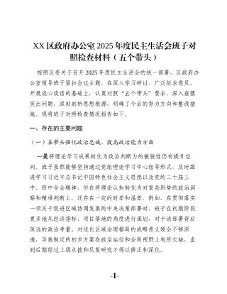 XX区政府办公室2025年度民主生活会班子对照检查材料（五个带头）