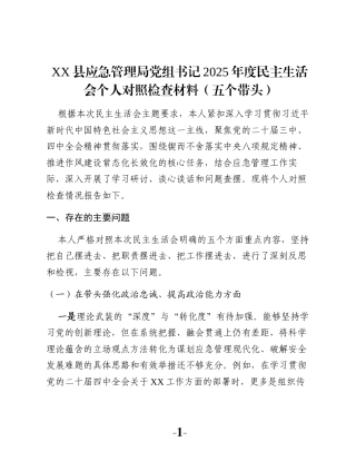 XX县应急管理局党组书记2025年度民主生活会个人对照检查材料（五个带头）
