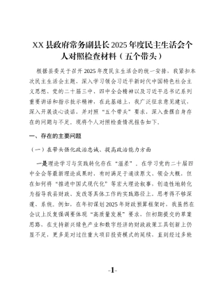 XX县政府常务副县长2025年度民主生活会个人对照检查材料（五个带头）