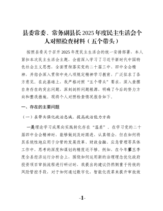 县委常委、常务副县长2025年度民主生活会个人对照检查材料（五个带头）