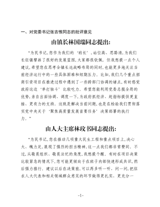 2025年民主生活会相互批评意见